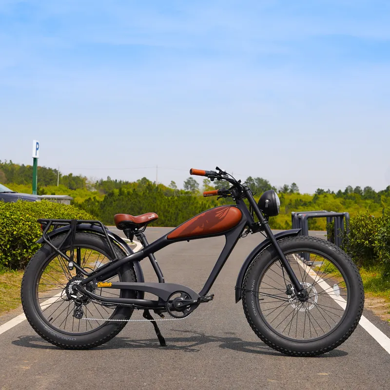 OEM 750W Hot Electric Vintage  - Road Bike Tire 评论和价格