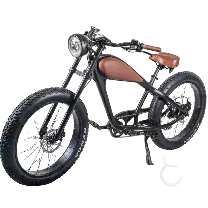 OEM 750W Hot Electric Vintage  - Road Bike Tire 评论和价格